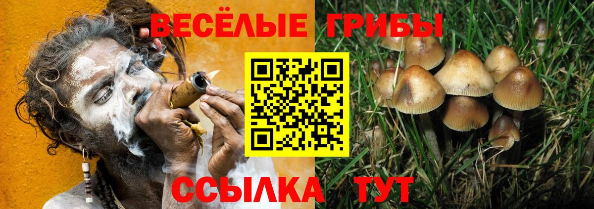 Лосино-Петровский  Псилоцибиновые грибы GOLDEN TEACHER  Вход с VPN 